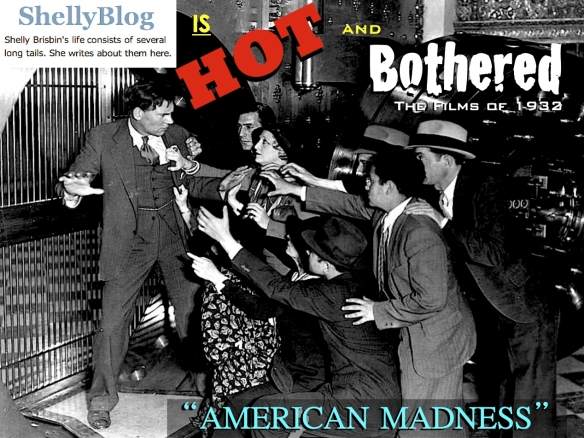 AMERICAN MADNESS ( SHELLY BLOG )